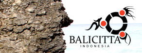 Bali Citta